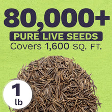 Load image into Gallery viewer, Guaranteed Growth Cosmos Seeds - 1 lb Wildflower Mixture in Premium Packaging