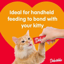 Load image into Gallery viewer, Handheld Lickable Cat Treats for Adult &amp; Senior Cats - Chicken Flavor (16 Count)