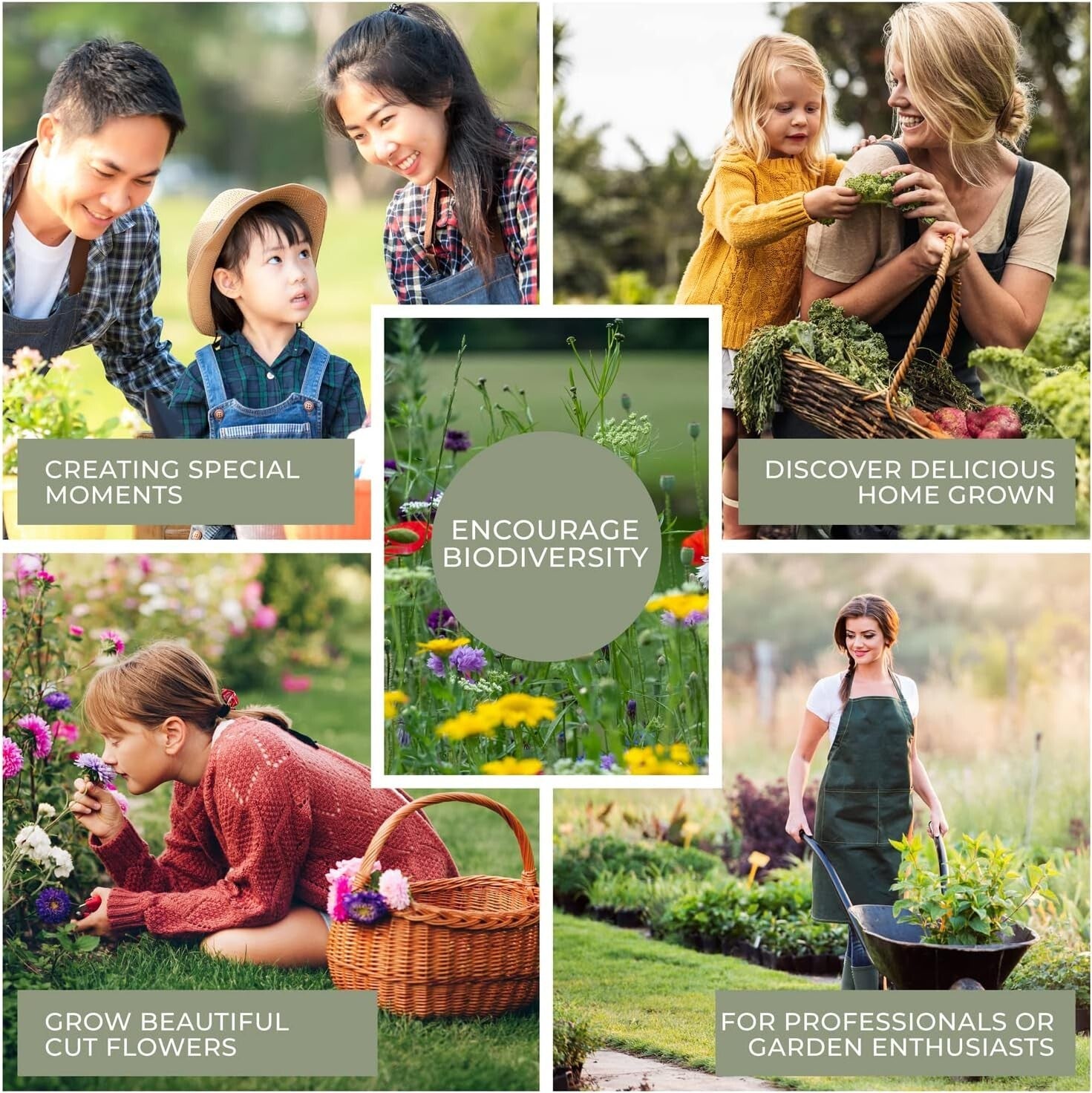 Elegant Metal Seed Storage Box with 3 Compartments & Bamboo Labels - Green