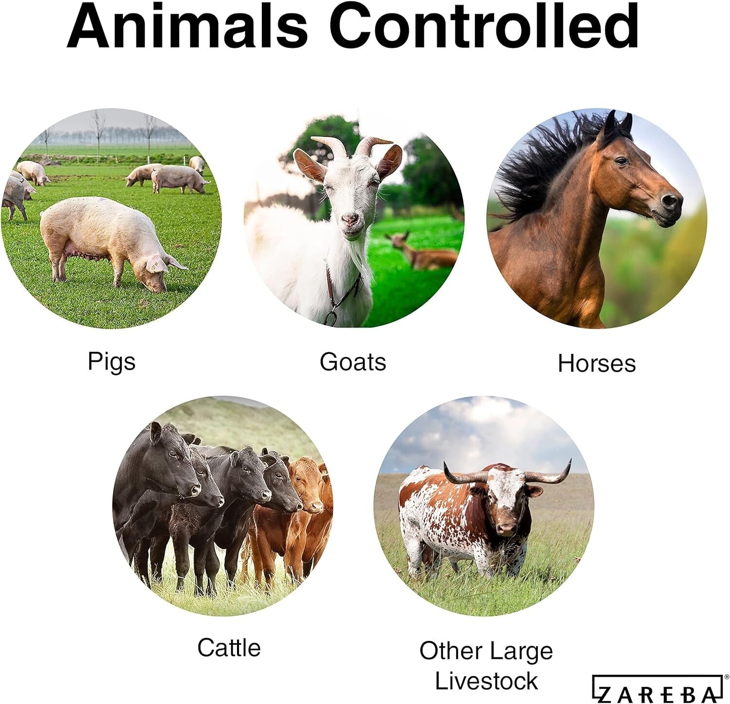 50 Mile AC-Powered Electric Fence Charger - Durable Low Impedance Energizer