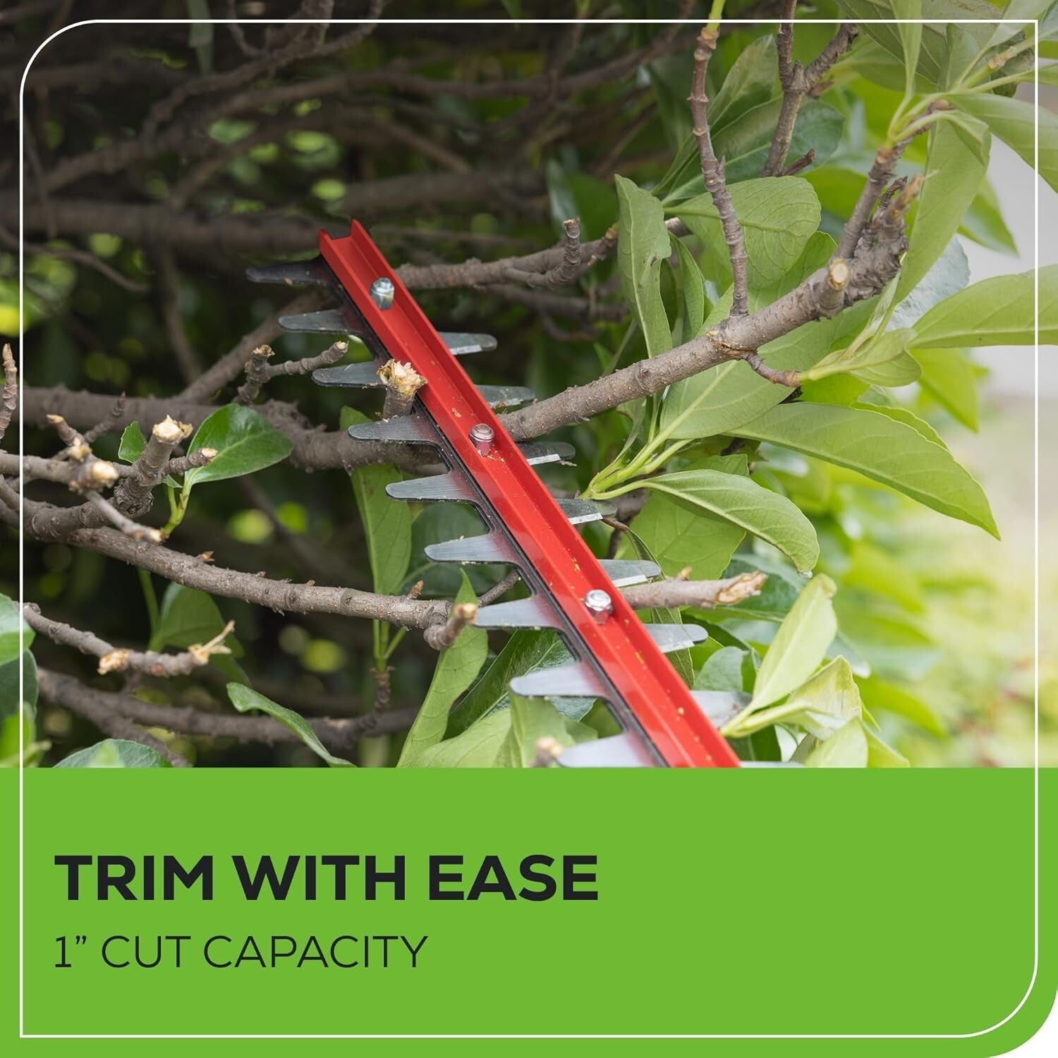 Lightweight 40V Cordless Hedge Trimmer - 24" Stainless Steel Blades Included