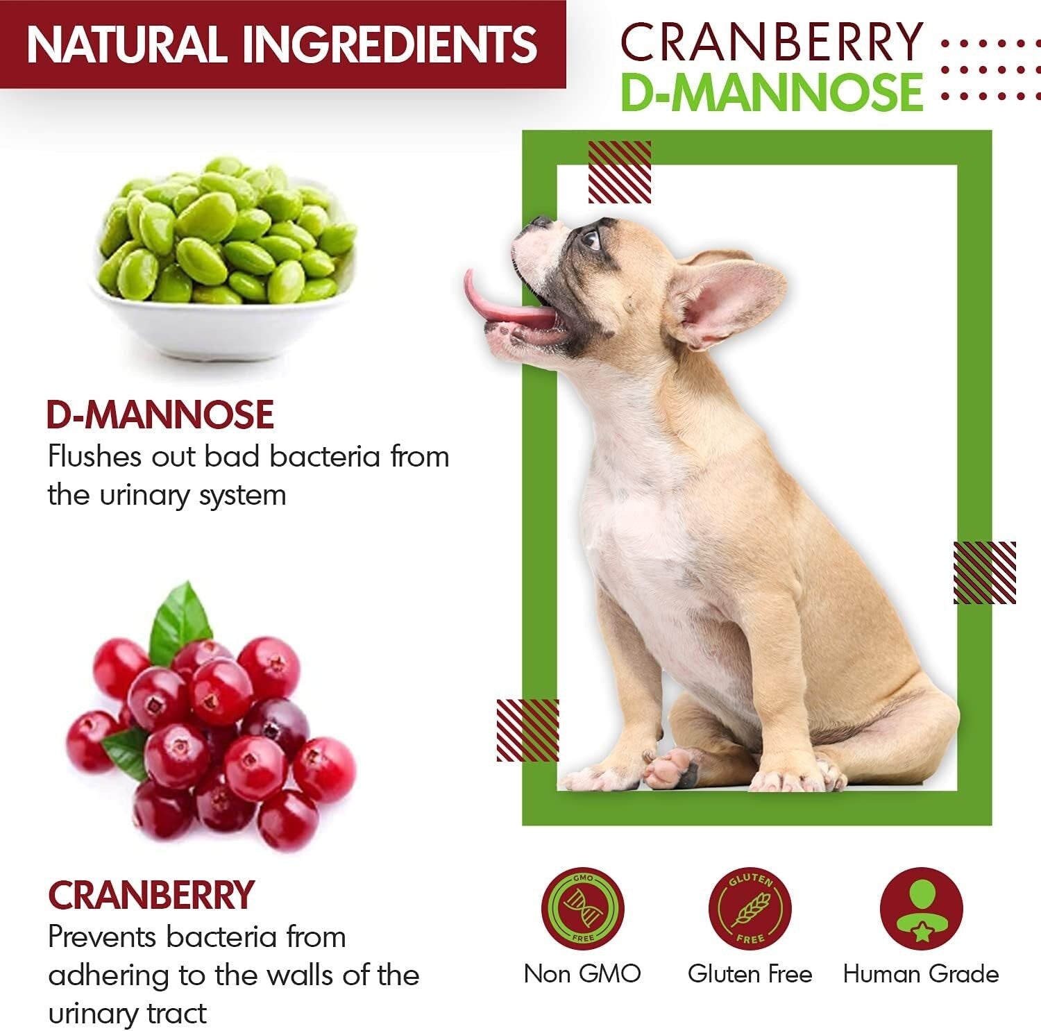 USA-Made Cranberry D-Mannose for Dogs & Cats - 150 Tablets for Urinary Wellness