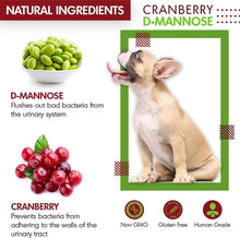Load image into Gallery viewer, USA-Made Cranberry D-Mannose for Dogs &amp; Cats - 150 Tablets for Urinary Wellness