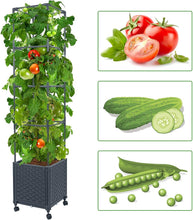Load image into Gallery viewer, Mobile Raised Garden Bed with Trellis: Perfect for Climbing Vegetables &amp; Flowers