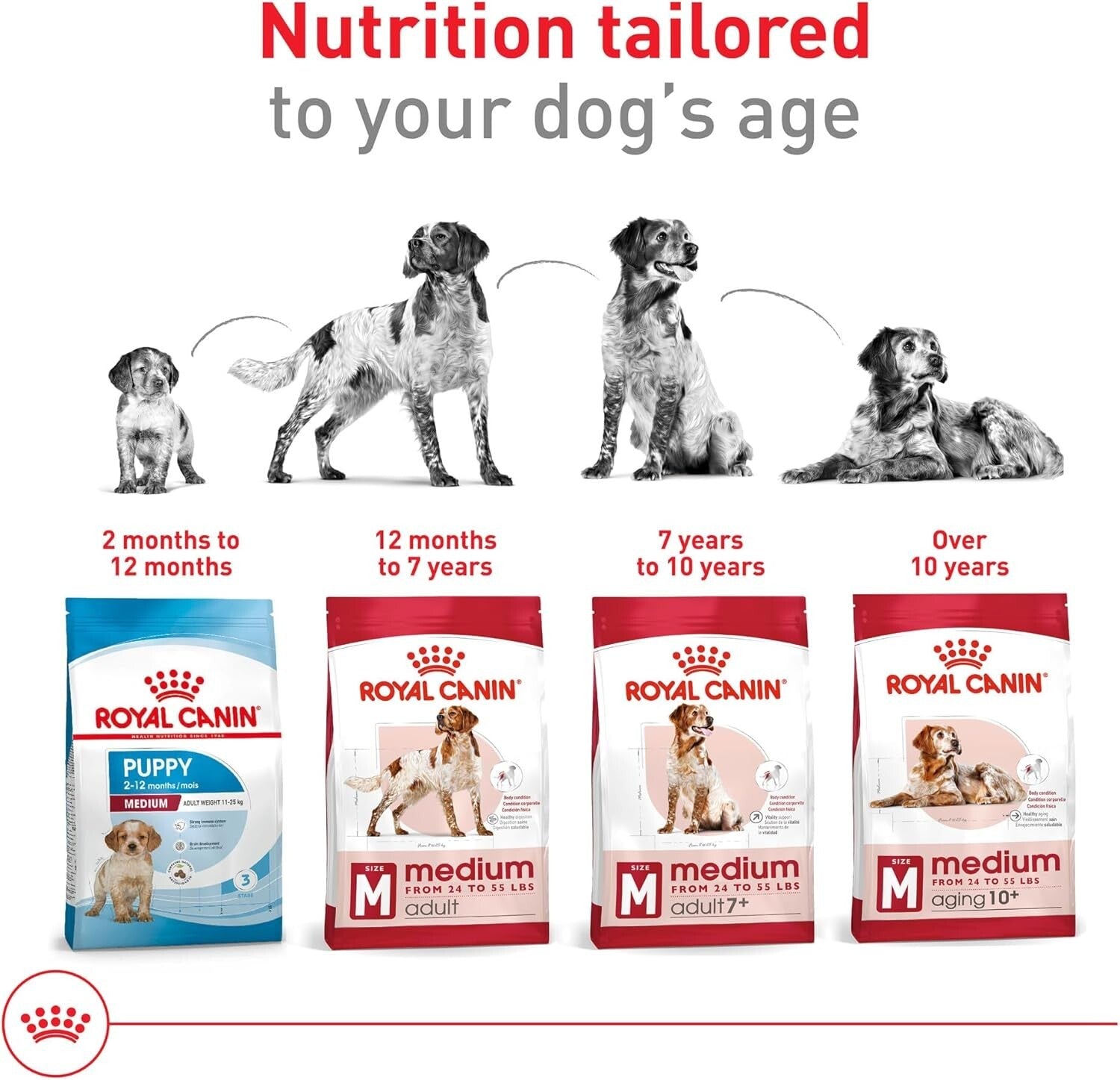 40 lb Medium Adult Dry Dog Food with Antioxidants for Healthy Immune System