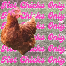 Load image into Gallery viewer, Original DIY PVC Gravity Fed Chicken Feeder Kit with 3 Ports - Made in USA