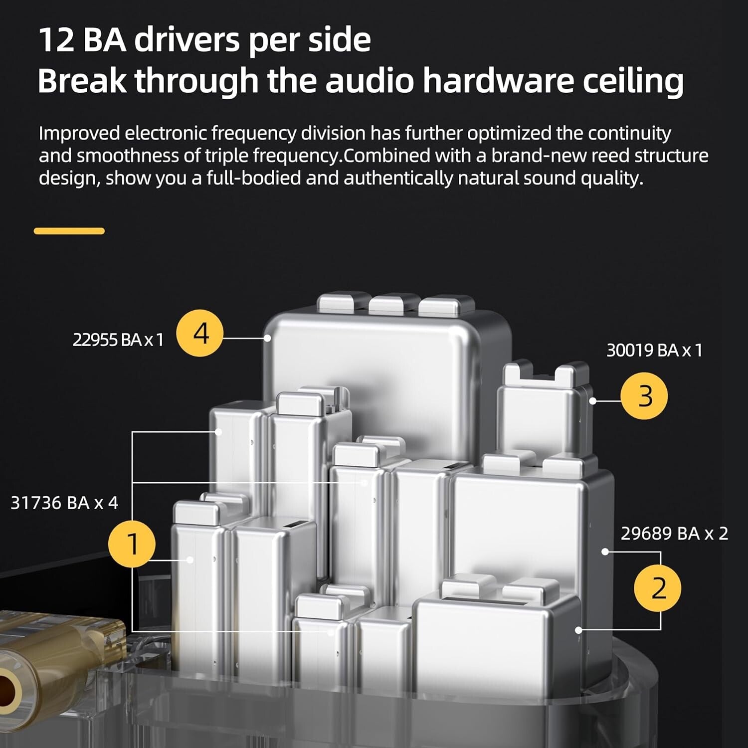 IEM Earphones with 24 Balanced Armature Drivers & Detachable Cable - HiFi Sound