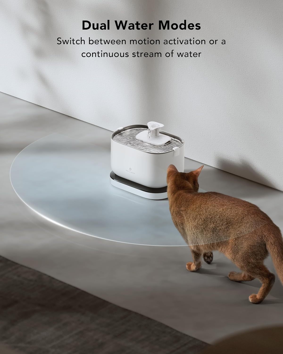 Dockstream 2.5L Pet Water Fountain - Rechargeable, Cordless, Easy Clean Design
