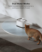 Load image into Gallery viewer, Dockstream 2.5L Pet Water Fountain - Rechargeable, Cordless, Easy Clean Design