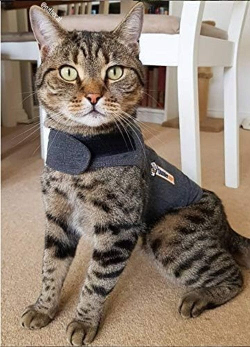Gentle Pressure Cat Calming Vest - Medium Pet Anxiety Solution (9-13 lbs)
