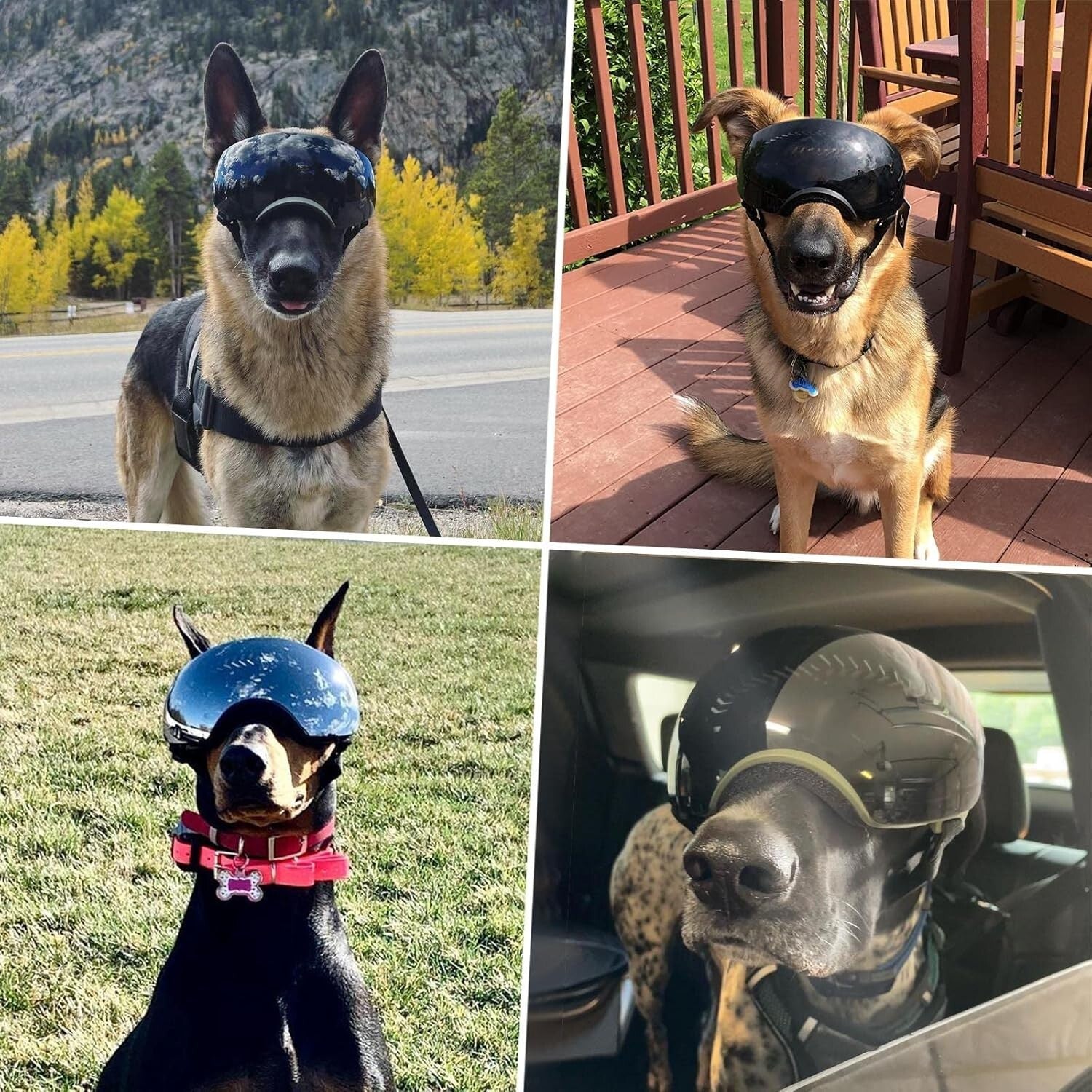 Premium UV Protection Dog Sunglasses for Medium-Large Breeds - Adjustable, Green