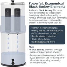 Load image into Gallery viewer, Premium Black Elements BB9-2 Water Filters - Ensure Clean, Safe Drinking Water