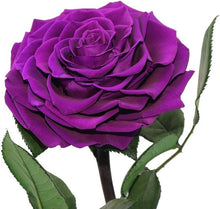 Load image into Gallery viewer, Unique Indoor Decor: Handmade Purple Rose in Glass Dome - Perfect Gift Option