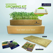 Load image into Gallery viewer, Stylish Microgreens Growing Kit with Natural Wood Finish - Perfect for Beginners