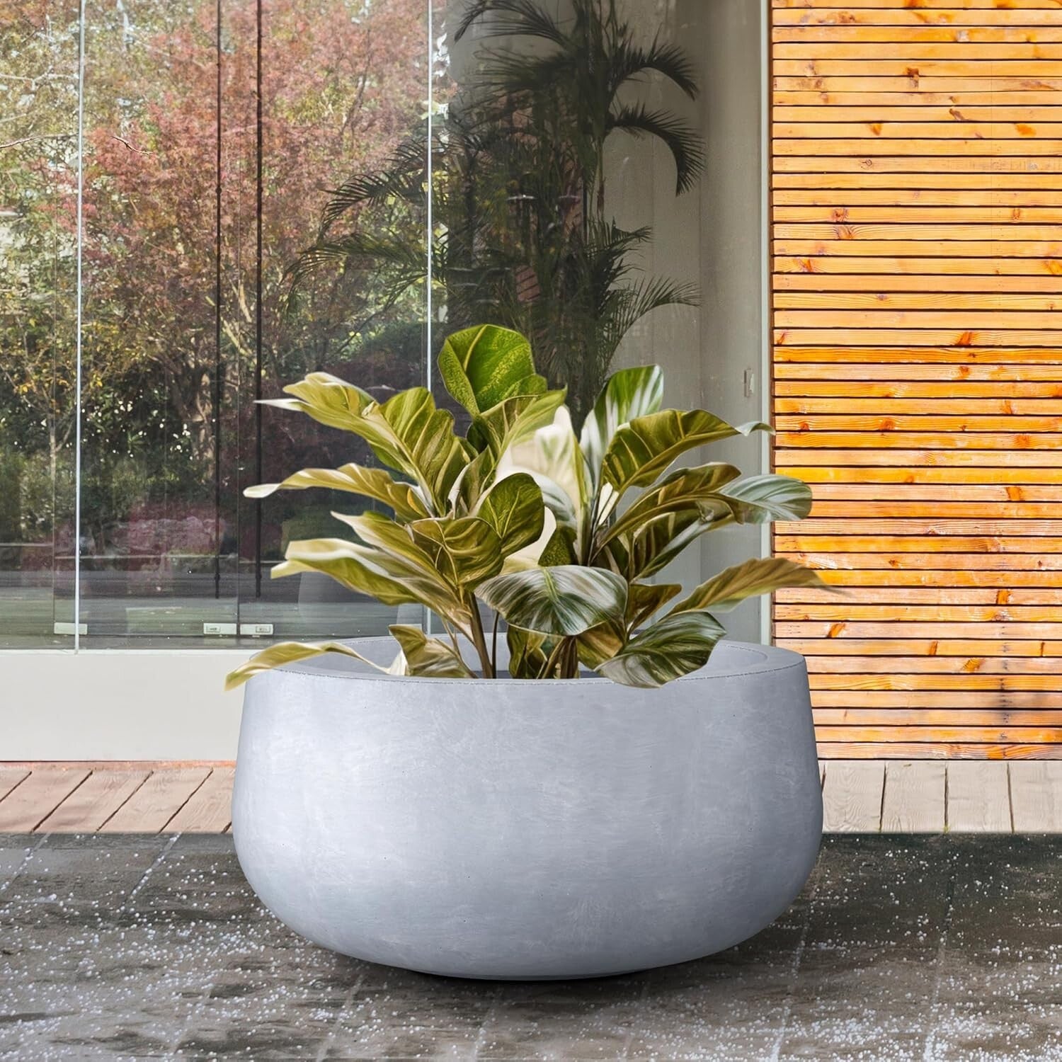 Chic 15.7" Diameter Concrete Plant Pot with Smooth Finish - Perfect for Gardens