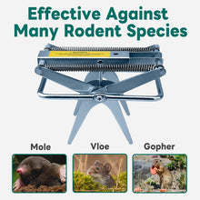 Load image into Gallery viewer, Fast-Acting 2 Pack Mole Traps - Rust-Proof Scissor Design for Quick Pests Kill