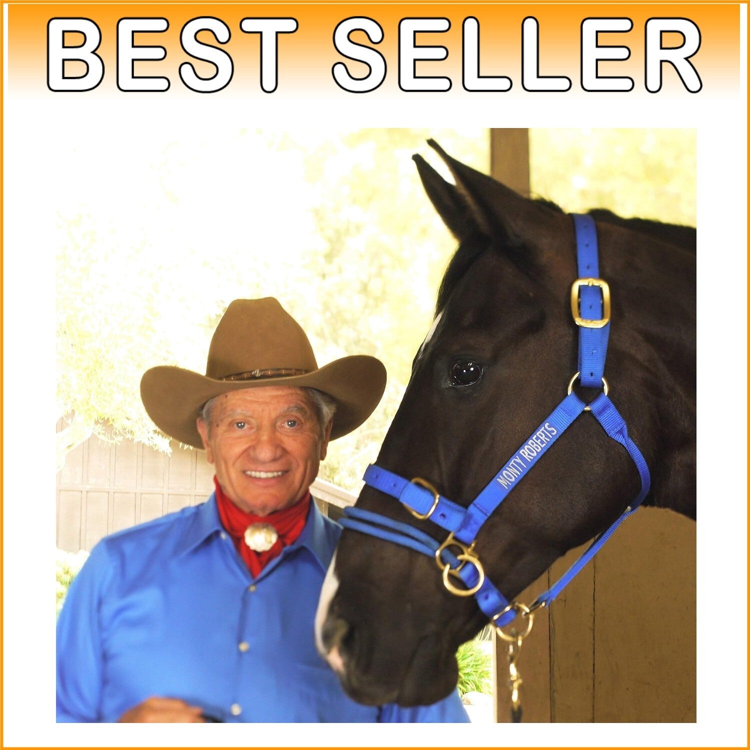 Durable Adjustable Dually Headcollar for Effective Horse Training - Large, Blue