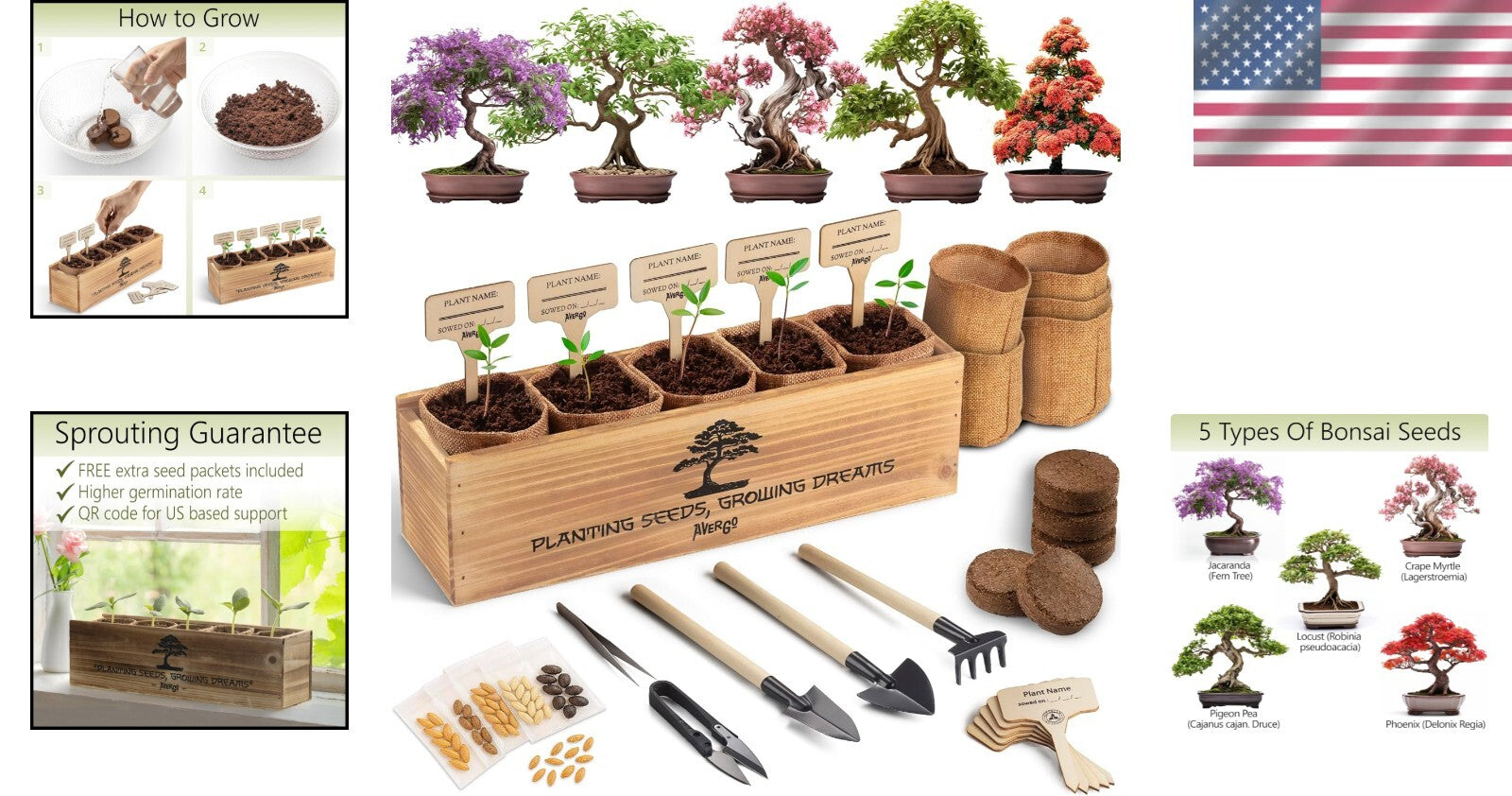 Organic Bonsai Tree Growing Kit with Easy Instructions – Ideal for Beginners