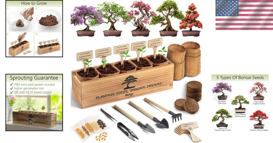 Organic Bonsai Tree Growing Kit with Easy Instructions – Ideal for Beginners