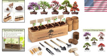Load image into Gallery viewer, Organic Bonsai Tree Growing Kit with Easy Instructions – Ideal for Beginners