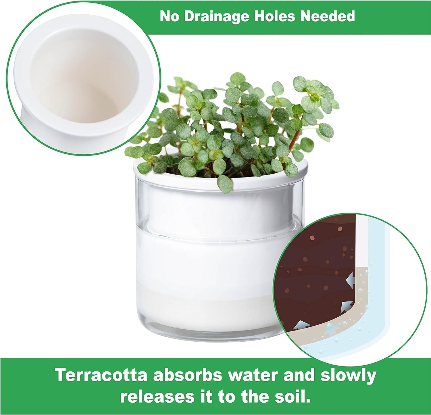 Elegant 4" Modern Terracotta Pots with Glass | Indoor Self-Watering Planters