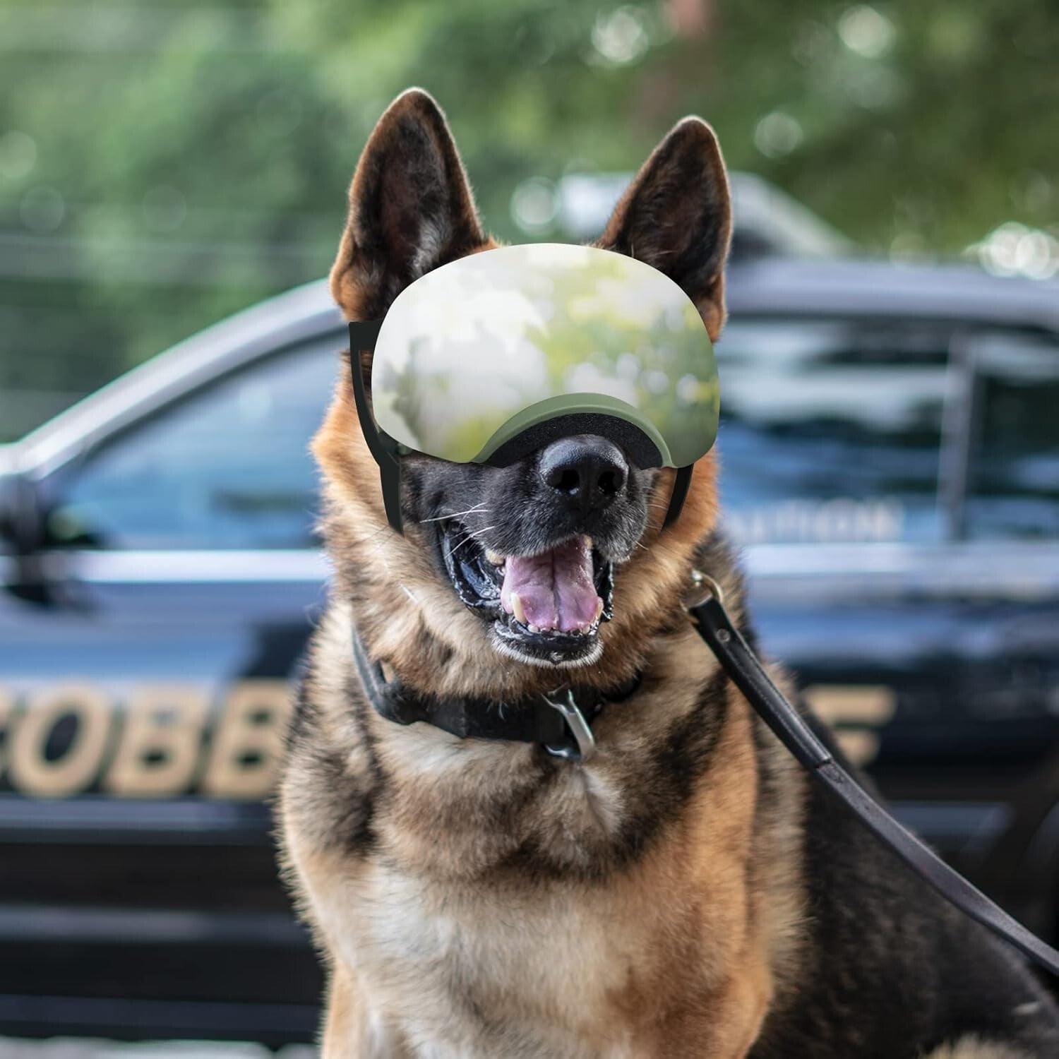 Premium UV Protection Dog Sunglasses for Medium-Large Breeds - Adjustable, Green