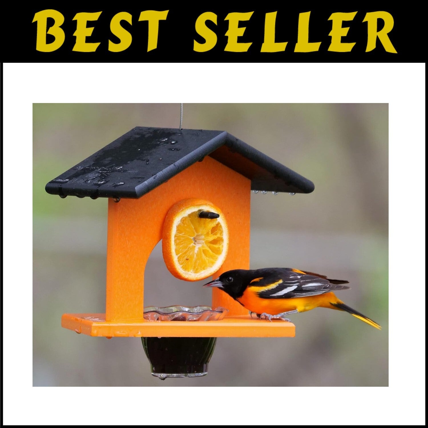 Weather Resistant Hanging Oriole Bird Feeder with Jelly Dish - 10.5"L x 7.5"W