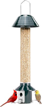 Load image into Gallery viewer, PestOff 2.0 Squirrel-Proof Wild Bird Feeder - 4lbs Capacity, Weatherproof Green