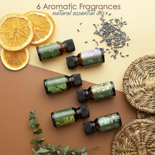 Load image into Gallery viewer, 10 lb Natural Soy Wax Kit with Wicks, Stickers, &amp; Fragrance for Beginners