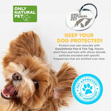 Load image into Gallery viewer, Lightweight Water-Resistant Pet Collar Tag for Year-Round Protection - 12 Months