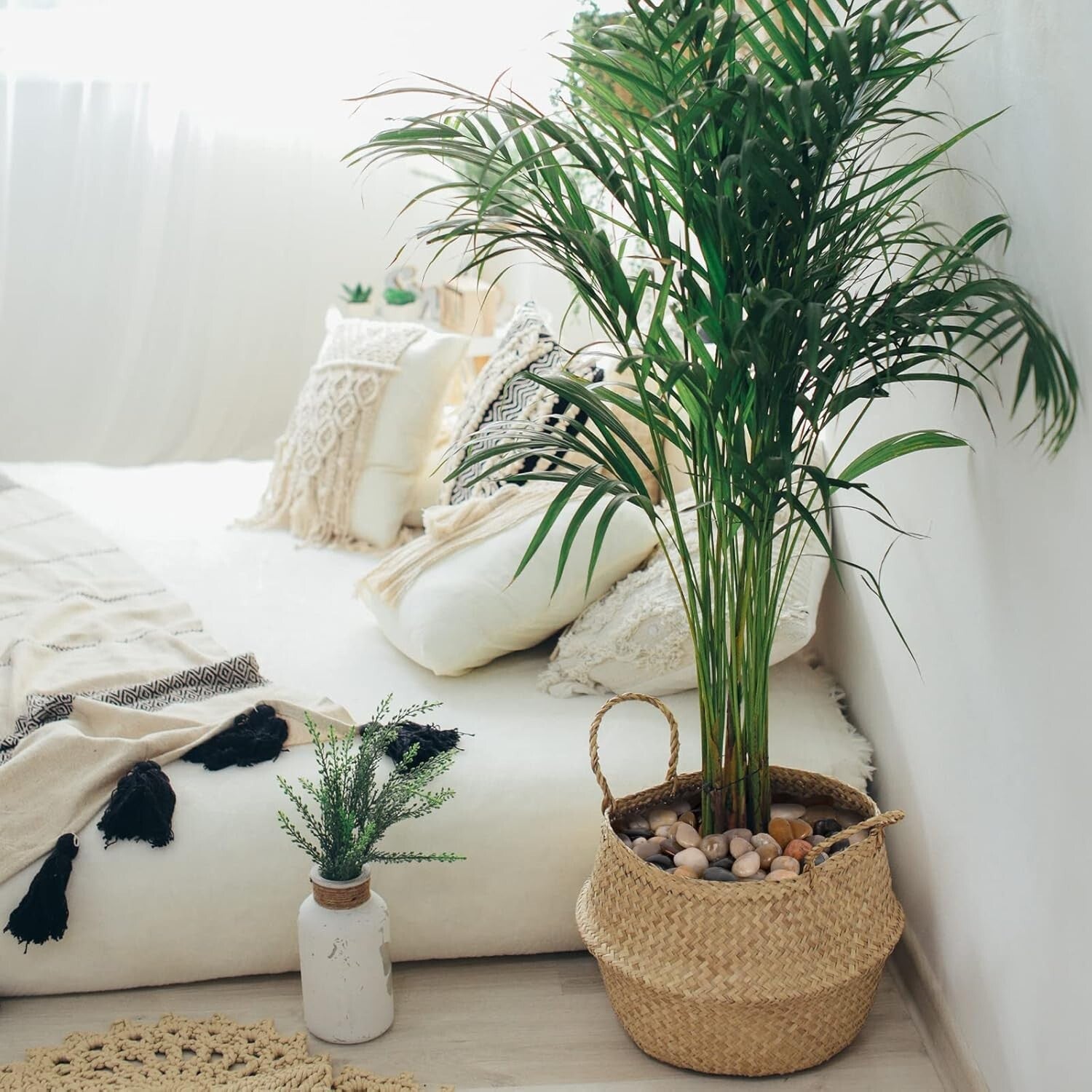 Natural 30 lb Polished Pebbles - Ideal for Drainage and Aesthetic in Any Garden