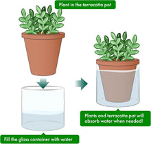 Load image into Gallery viewer, Handcrafted 4-Inch Self-Watering Planter Set with Terracotta Pots and Glass Cups