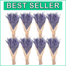 Load image into Gallery viewer, 8 Bundles of 16" Dried Lavender Flowers - Perfect for Cozy Home Arrangements