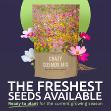 Load image into Gallery viewer, Guaranteed Growth Cosmos Seeds - 1 lb Wildflower Mixture in Premium Packaging