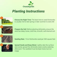 Load image into Gallery viewer, Dense Green Dichondra Repens Seeds - Easy Erosion Control &amp; Year-Round Color