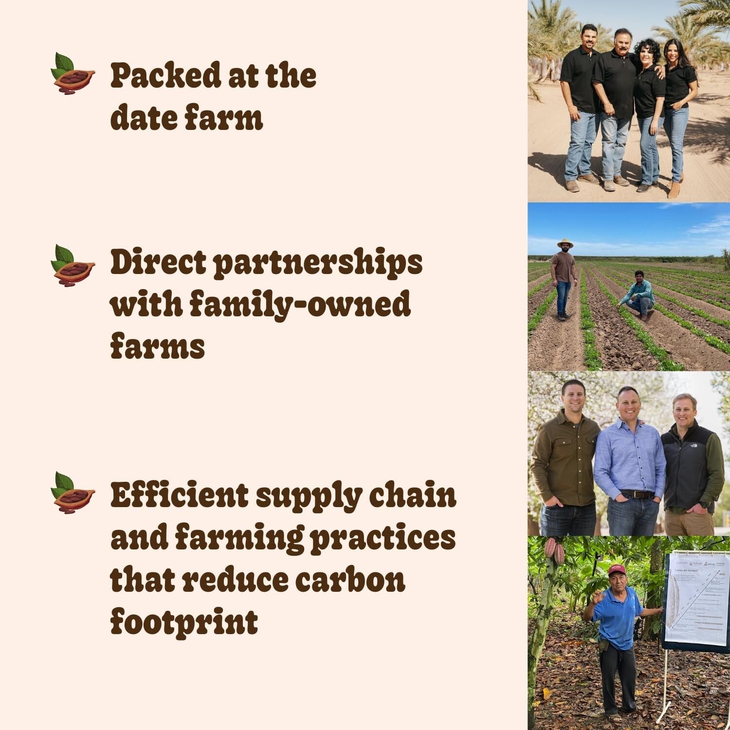 All-Natural Peanut Butter Chocolate Filled Dates – Organic, Gluten-Free, Vegan