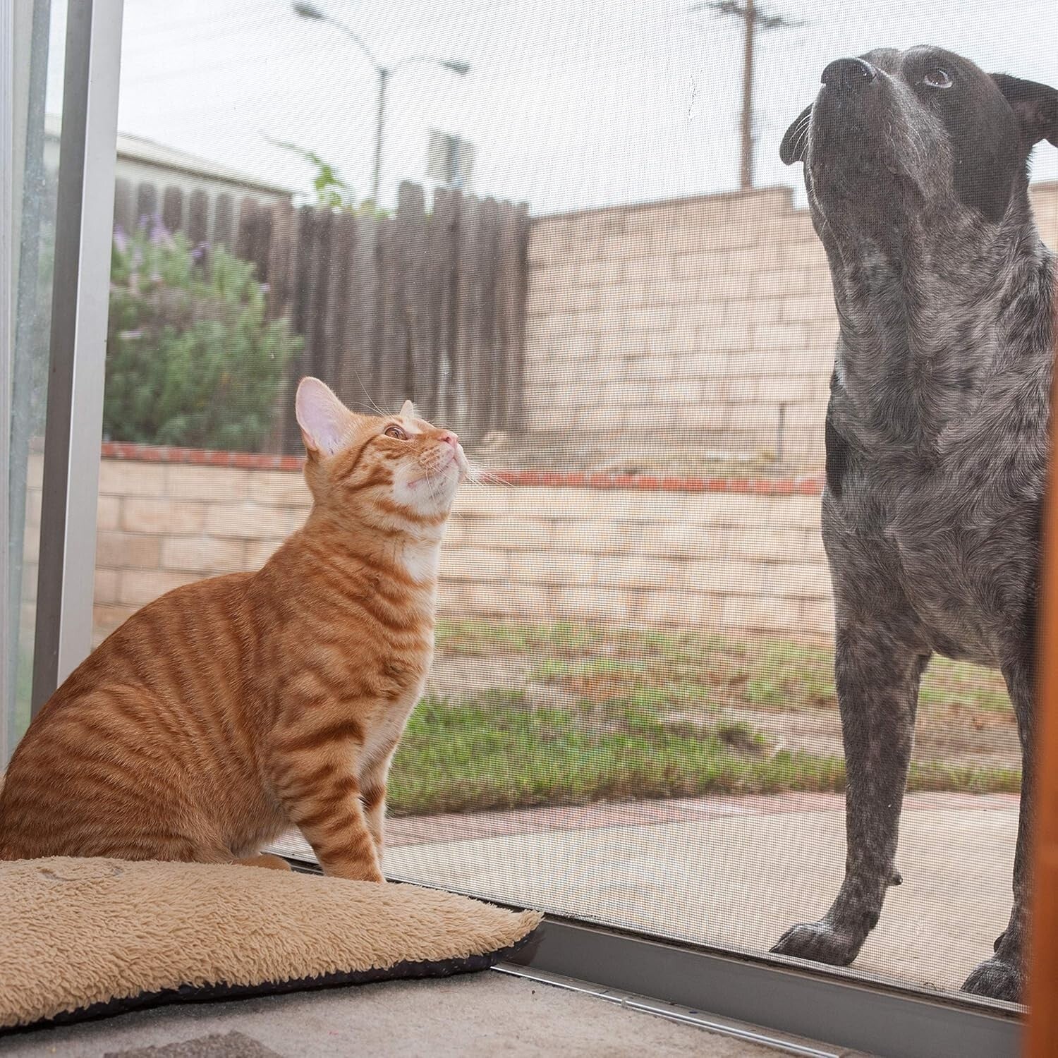 DOCA 48x50 ft Heavy-Duty Pet Screen Mesh - Durable Window Protection in Charcoal