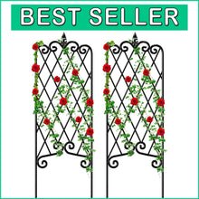 Load image into Gallery viewer, 2-Pack Black Wrought Iron Trellis for Climbing Plants - 47" x 16" Decorative ...