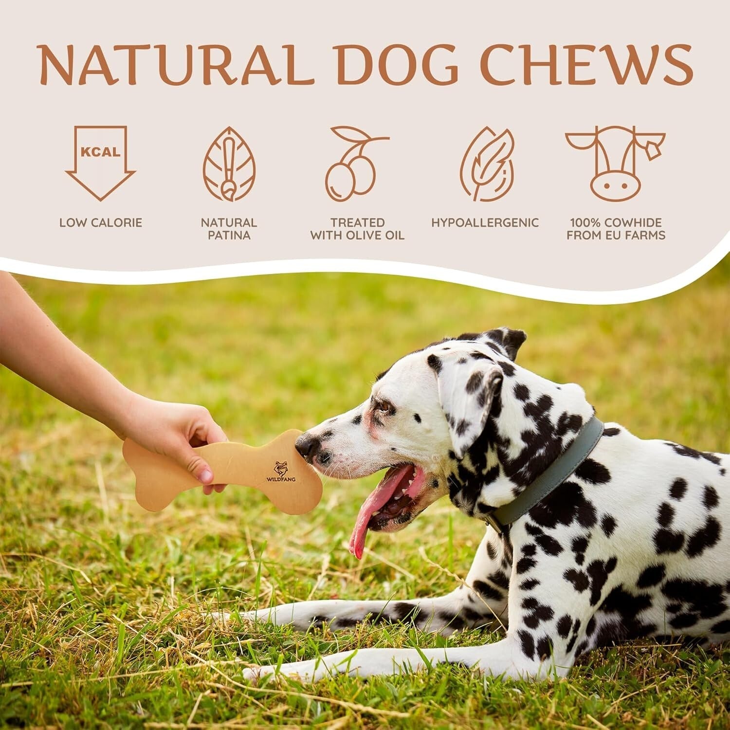 Durable Chew Sticks - Ethical Leather Dog Bones for Healthy Teeth - 3 Count
