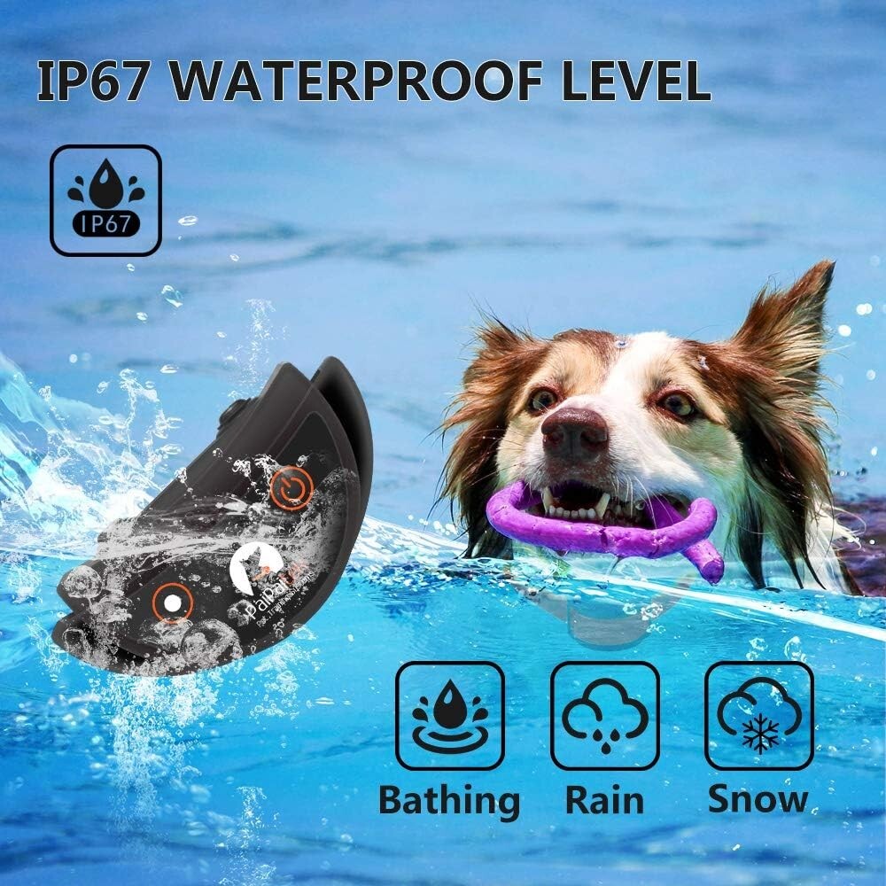Lightweight Waterproof Dog Collar with 10 Vibration Levels for 2 Dogs Training