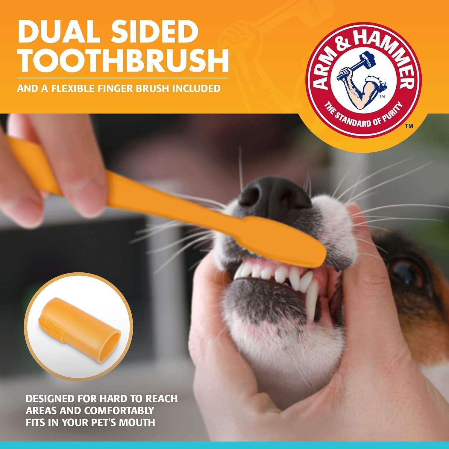 Gentle 3-Piece Dog Dental Kit for Tartar Reduction & Fresh Breath - 72 Pack