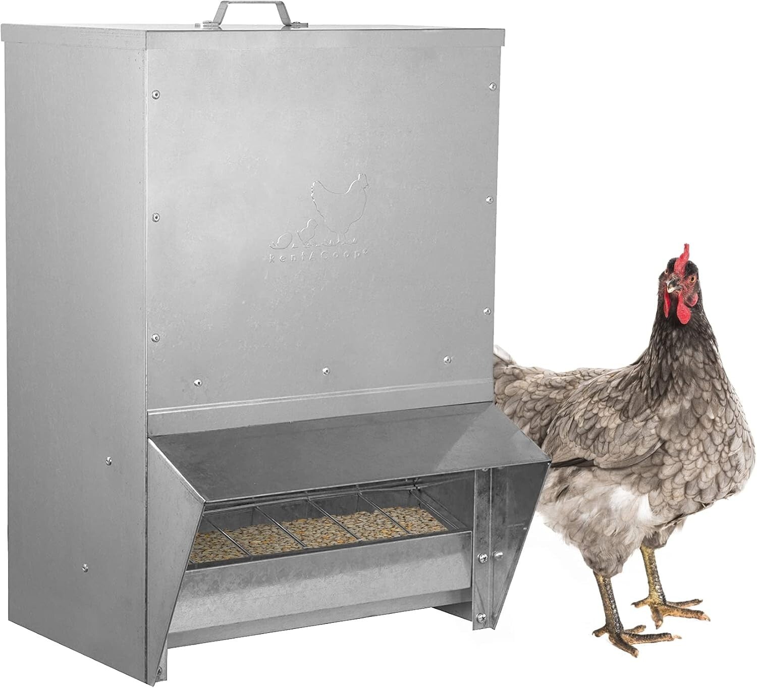 50LB Waterproof Wall-Mounted Metallic Trough Poultry Feeder - No Waste Design