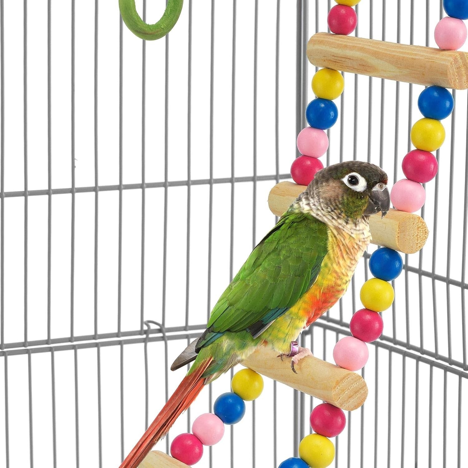 Elegant 39-Inch Bird Cage for Budgies and Finches with Simple Cleaning Features