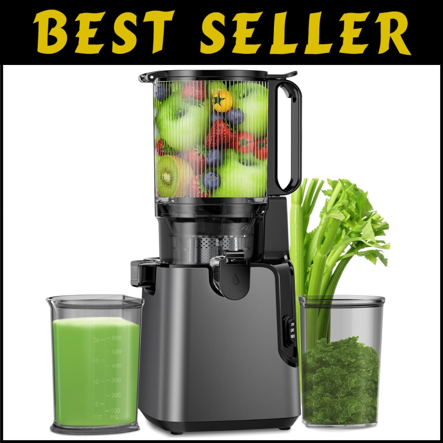 Professional Slow Masticating Juicer with Dual Strainers for Maximum Juice Yield