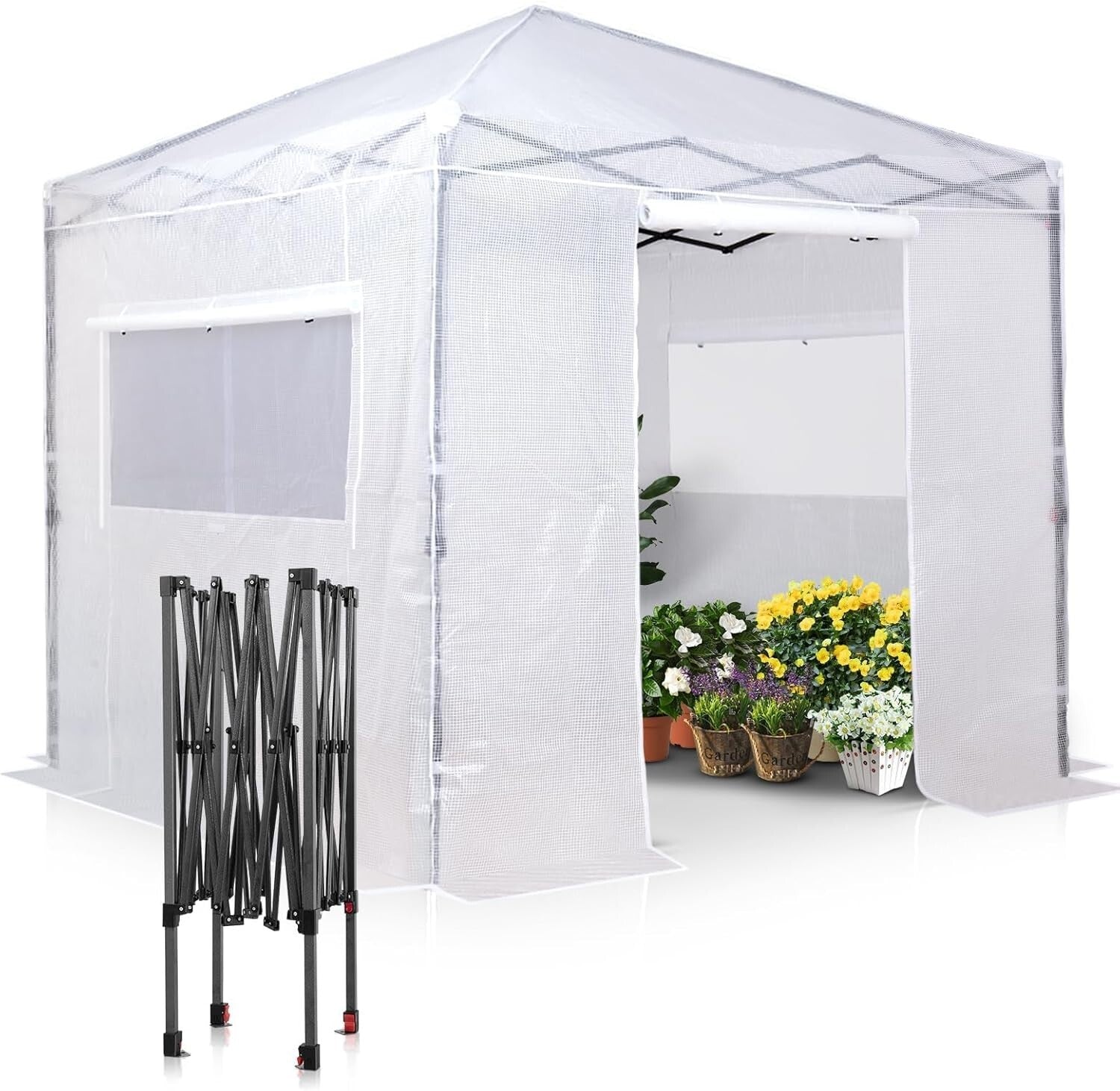 Spacious 8x8 ft Portable Greenhouse with Roll-Up Zippers for Ideal Growth