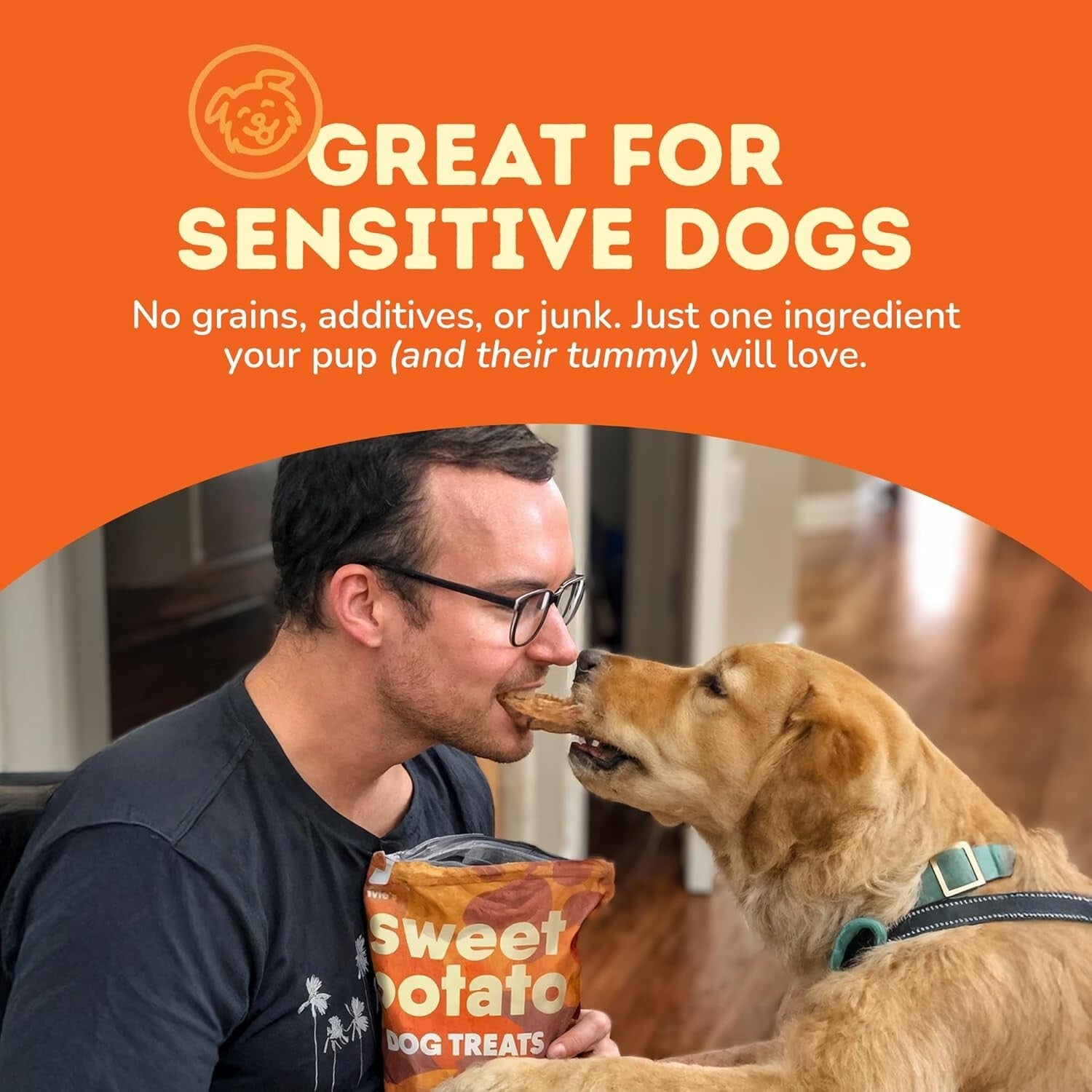 Healthy Sweet Potato Chews for Dogs - Grain-Free, Vegetarian Treats - 2 lb Pack