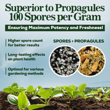 Load image into Gallery viewer, 5-Strain Mycorrhizal Fungi Blend - Potent Support for Garden and Lawn Growth