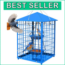 Load image into Gallery viewer, Durable Caged Bird Feeder for Bluebirds - Holds 2lbs, Includes Mealworms Cup
