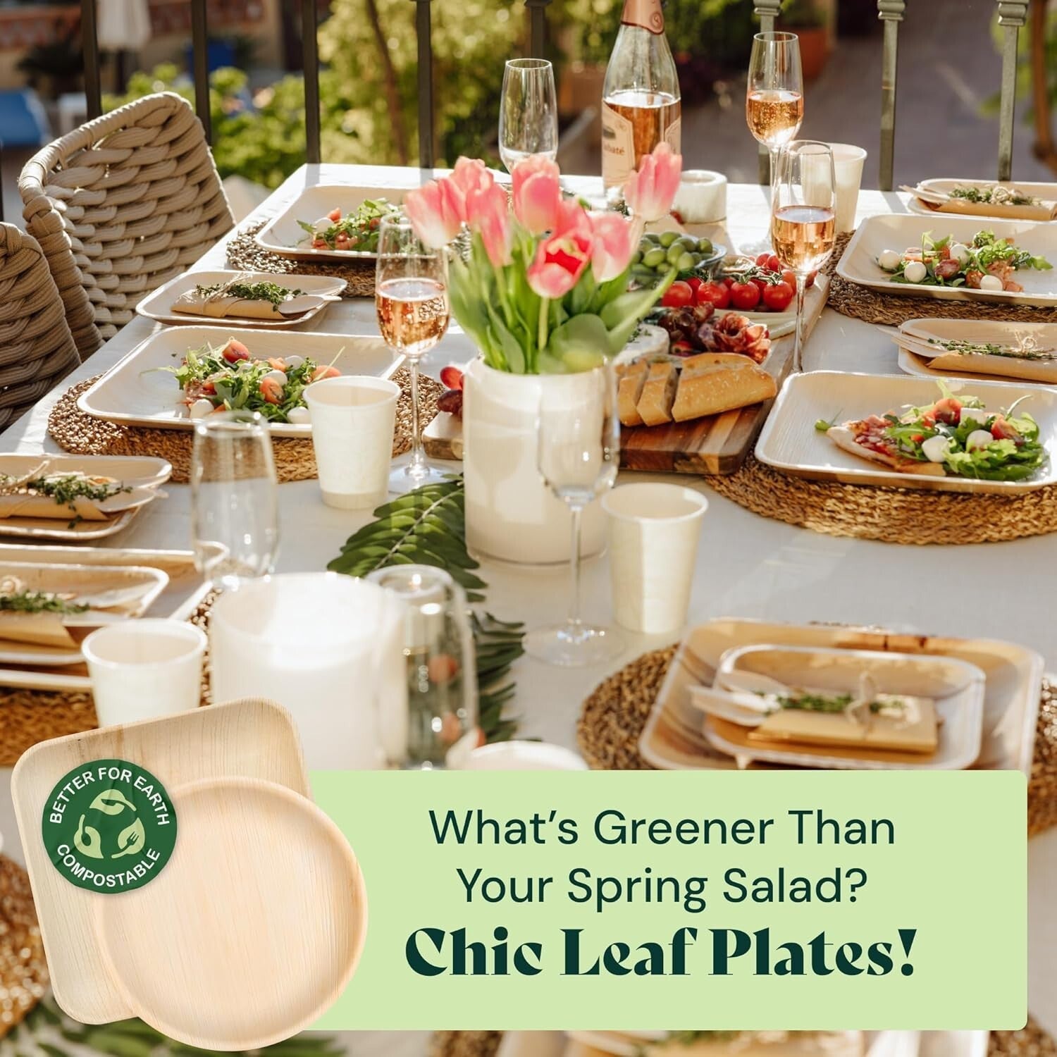 Eco-Friendly 48-Piece Set - Biodegradable 10" & 7" Square Palm Leaf Plates
