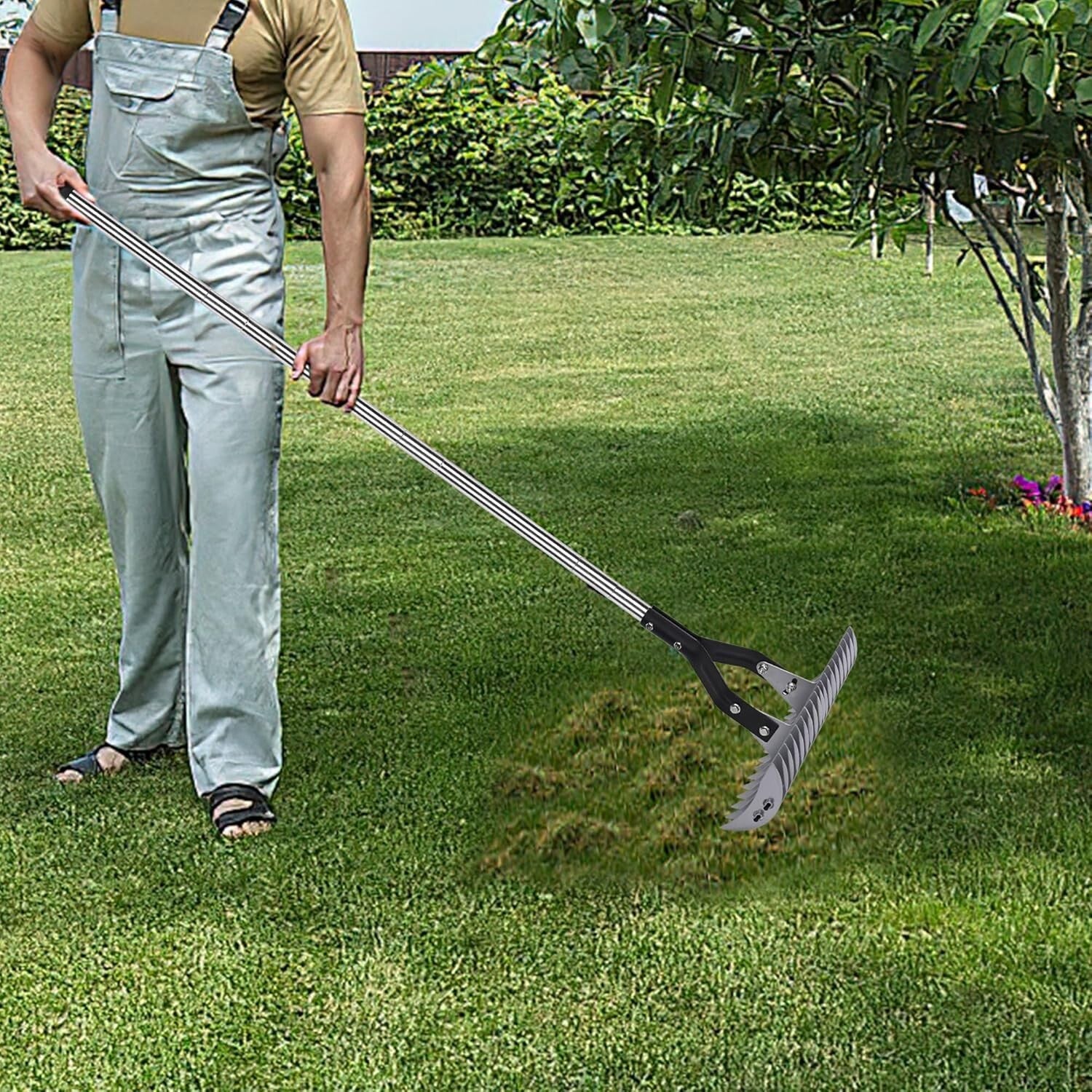 15-Inch Heavy-Duty Thatch Rake with Adjustable Stainless Steel Handle for Lawns